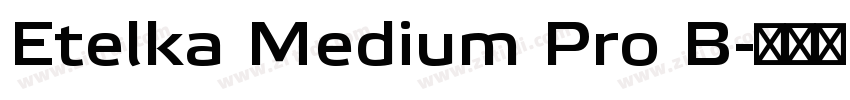 Etelka Medium Pro B字体转换 Etelka Medium Pro B字体转换
